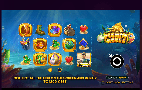 Fishin’ Reels1